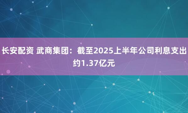 长安配资 武商集团：截至2025上半年公司利息支出约1.37亿元