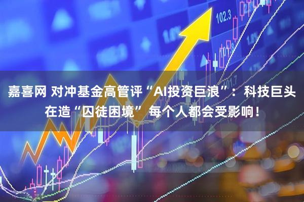 嘉喜网 对冲基金高管评“AI投资巨浪”：科技巨头在造“囚徒困境” 每个人都会受影响！
